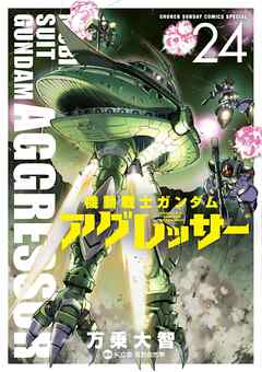 機動戦士ガンダム アグレッサー 24