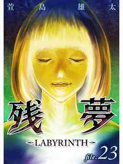 感想 ネタバレ 残夢 Labyrinth 分冊版 23話のレビュー 漫画 無料試し読みなら 電子書籍ストア ブックライブ