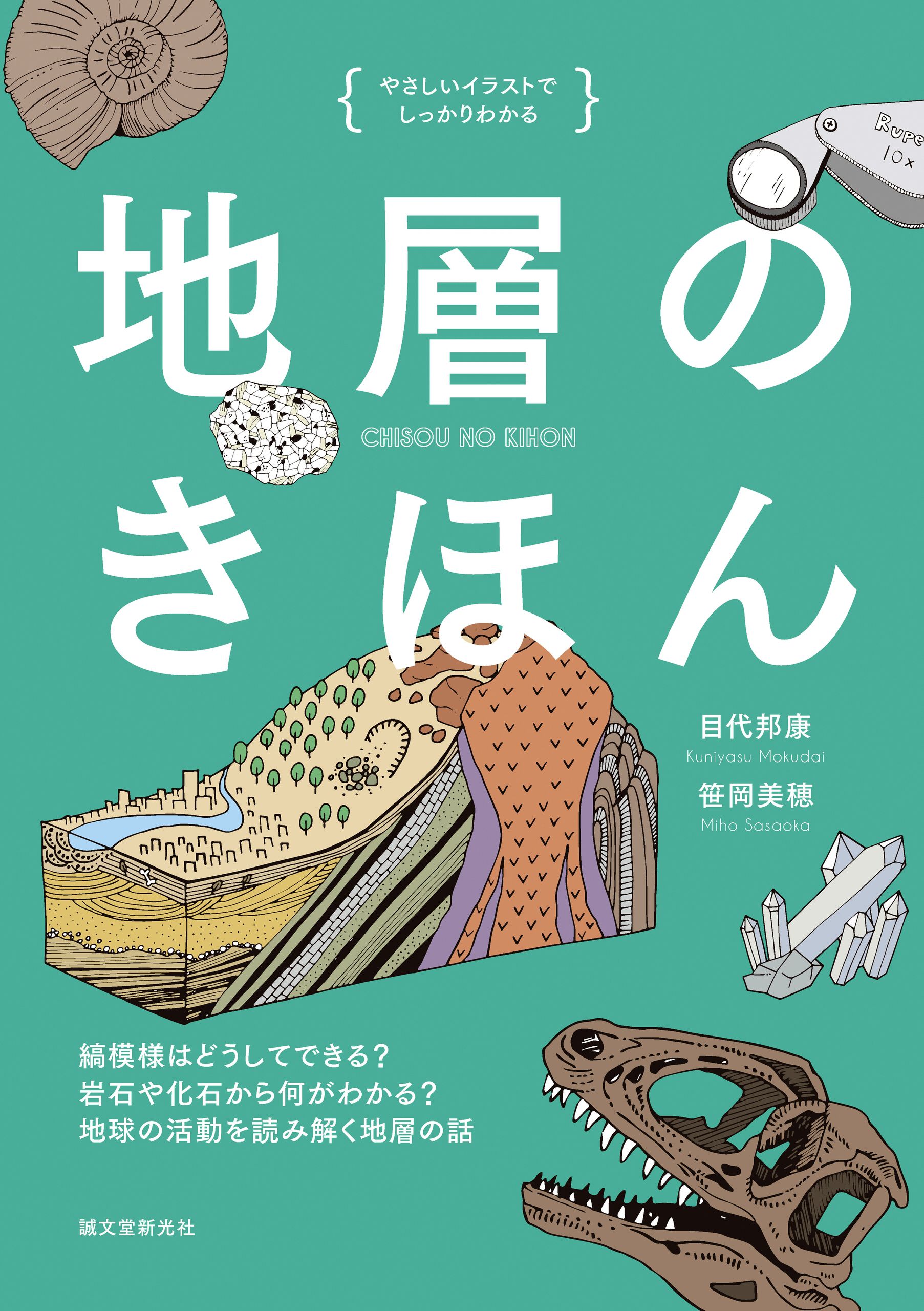 地層のきほん：縞模様はどうしてできる？ 岩石や化石から何がわかる