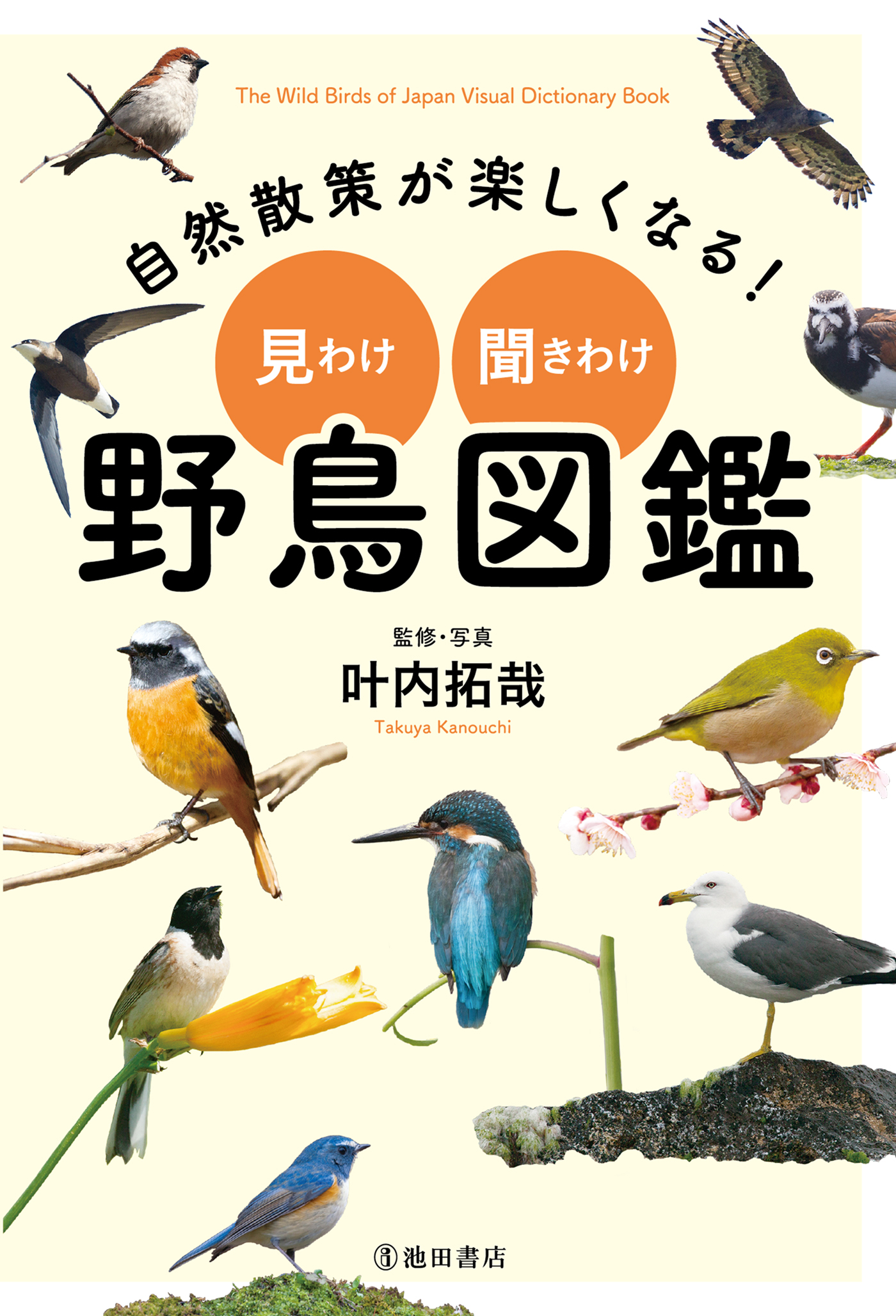 自然散策が楽しくなる 見わけ 聞きわけ 野鳥図鑑 池田書店 叶内拓哉 漫画 無料試し読みなら 電子書籍ストア ブックライブ