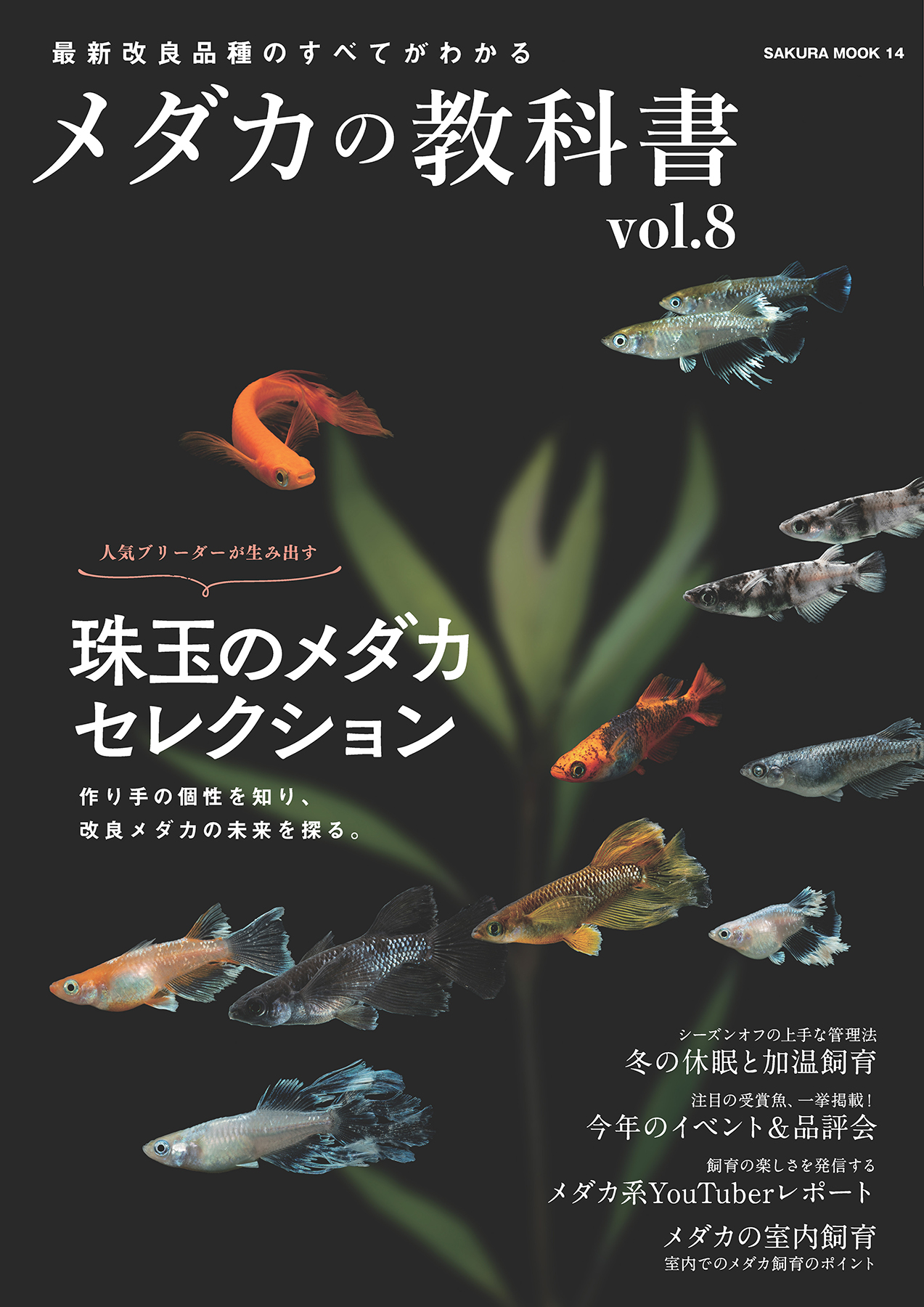 かわいいメダカの本 飼い方と素敵な水草レイアウト、ビオトープの作り方／メダカ好き編集部，小林道信，平林美紀