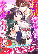 お兄ちゃんと、大人のおままごと～溺愛監禁～（分冊版）　【第17話】