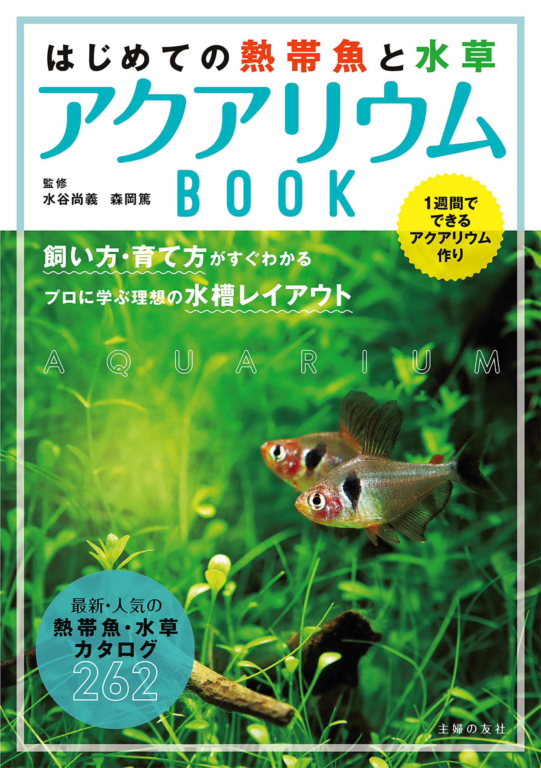 はじめての熱帯魚と水草 アクアリウムｂｏｏｋ 漫画 無料試し読みなら 電子書籍ストア ブックライブ