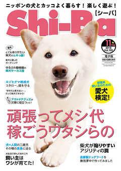 Shi-Ba 2018年11月号　Vol.103