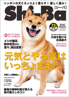 Shi-Ba 2019年11月号　Vol.109