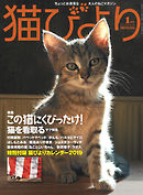 猫びより2019年1月号　Vol.103