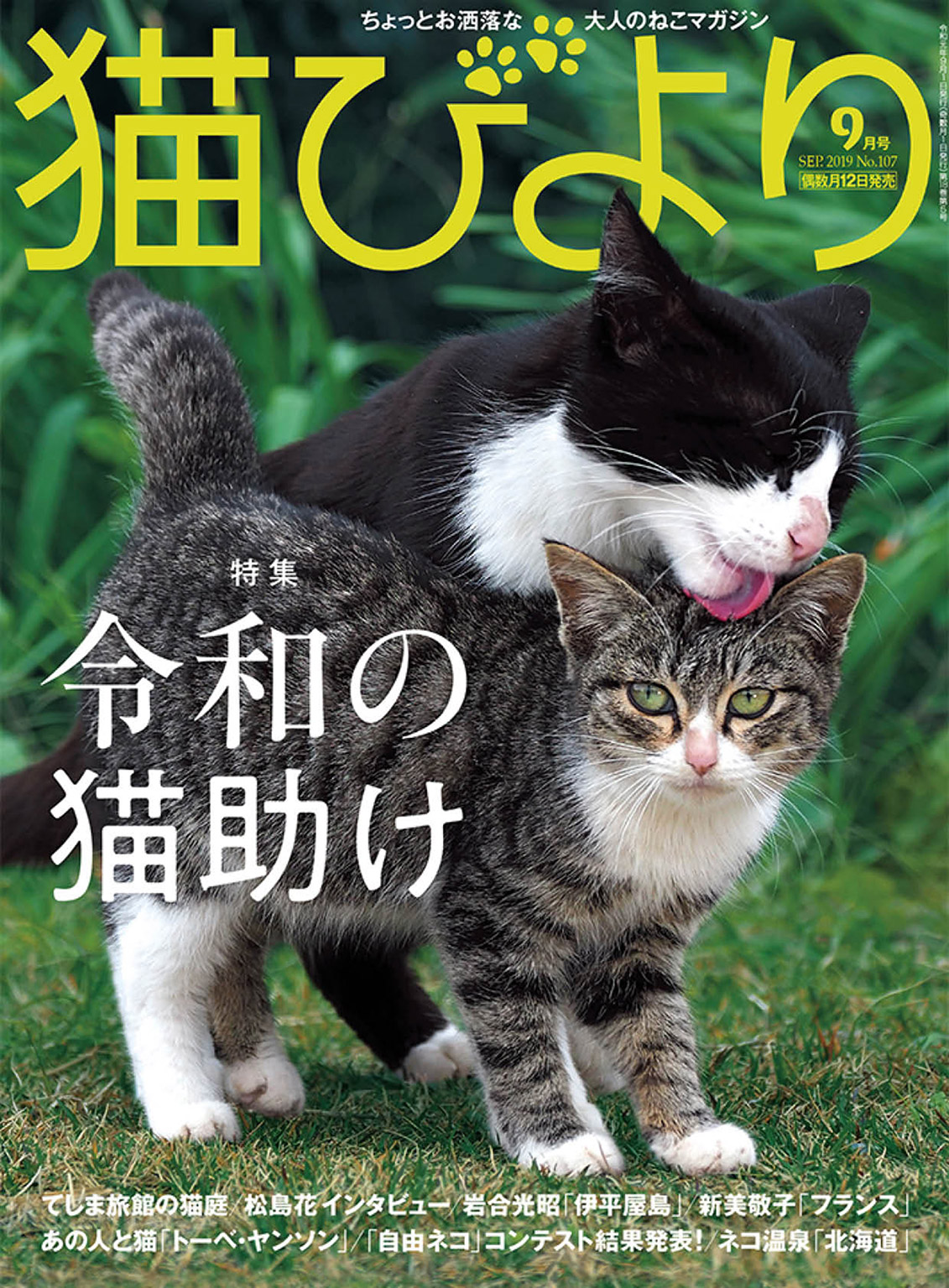 猫びより19年9月号 Vol 107 漫画 無料試し読みなら 電子書籍ストア ブックライブ