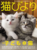 猫びより2019年11月号　Vol.108