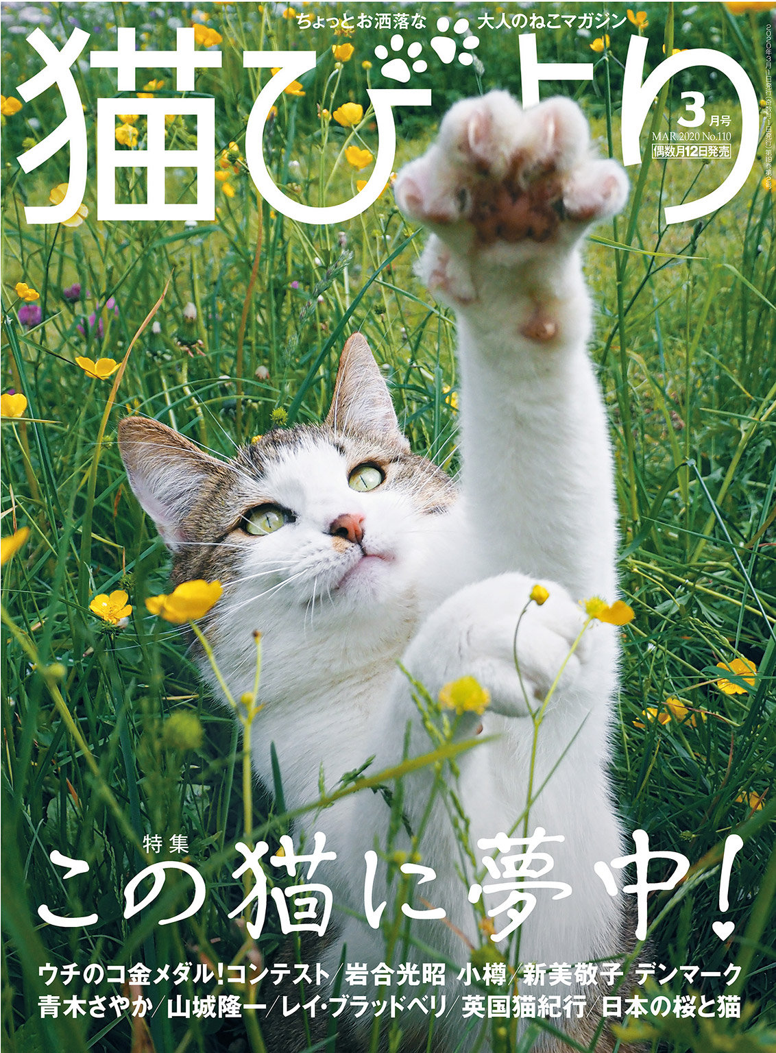 猫びより2020年3月号 Vol.110 - 猫びより編集部/岩合光昭 - 漫画・無料