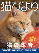 猫びより2020年11月号　Vol.114