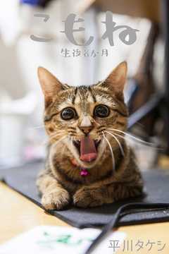 �����?����8����?