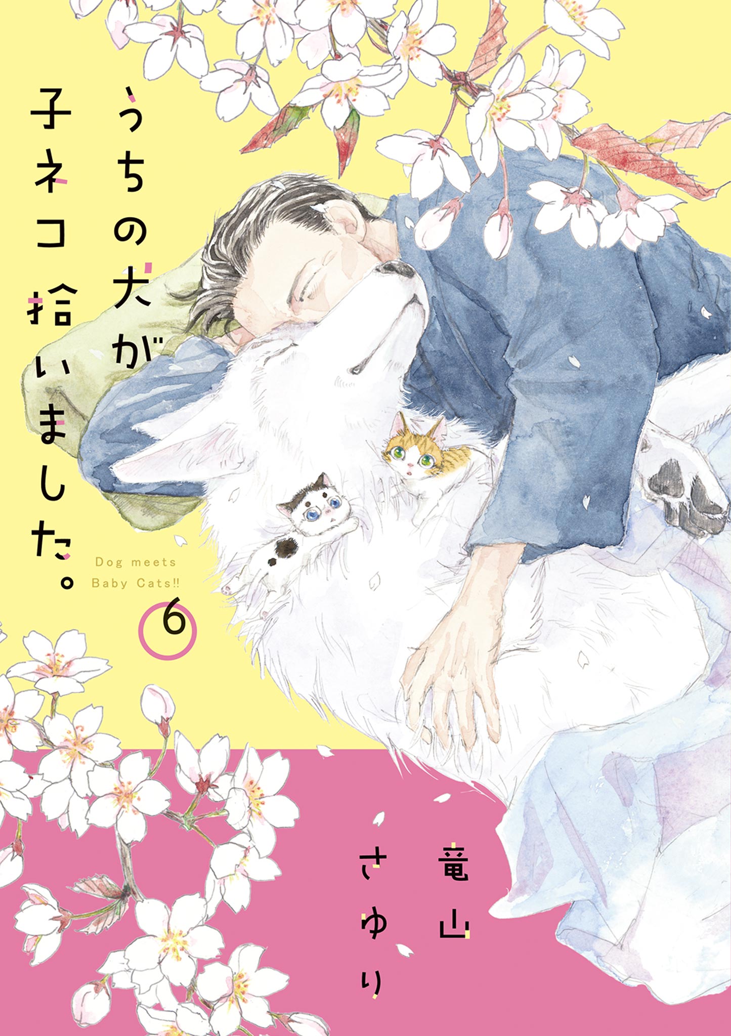 うちの犬が子ネコ拾いました。 6（最新刊） - 竜山さゆり - 漫画