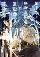 ロード・エルメロイＩＩ世の事件簿　（14）