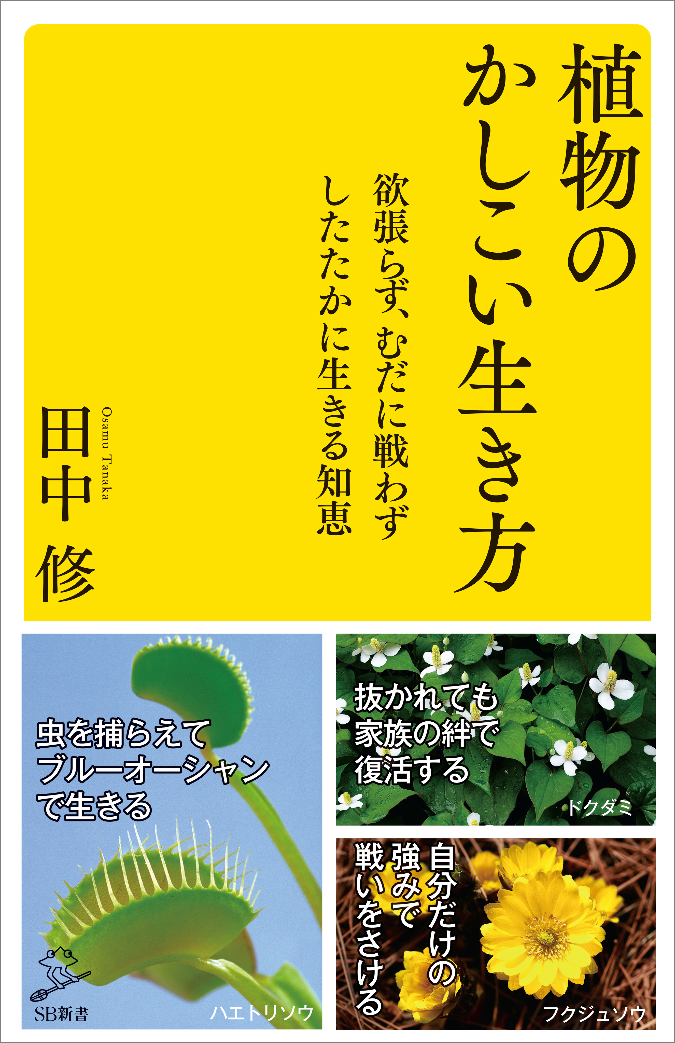 植物のかしこい生き方 欲張らず、むだに戦わずしたたかに生きる知恵