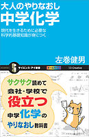 大人のやりなおし中学化学　現代を生きるために必要な科学的基礎知識が身につく
