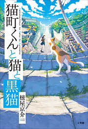 サクラノ詩―櫻の森の上を舞う―公式ビジュアルアーカイヴ - 有限