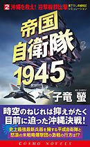 帝国自衛隊1945（2）沖縄を救え！迎撃機群出撃