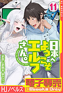 【電子専売】日本へようこそエルフさん。 11