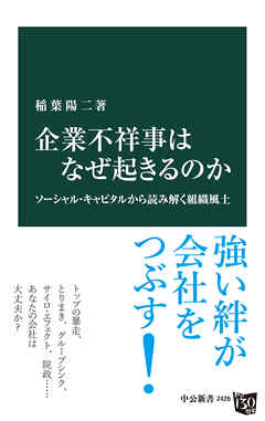 企業不祥事はなぜ起きるのか　ソーシャル・キャピタルから読み解く組織風土