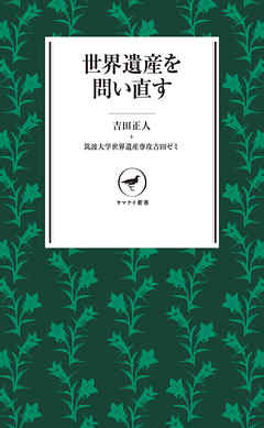 ヤマケイ新書 世界遺産を問い直す