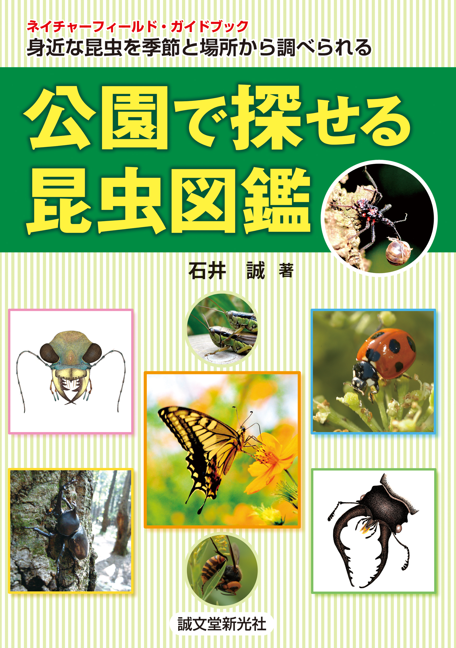 公園で探せる昆虫図鑑 身近な昆虫を季節と場所から調べられる 石井誠 漫画 無料試し読みなら 電子書籍ストア ブックライブ