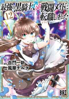 最強の黒騎士、戦闘メイドに転職しました