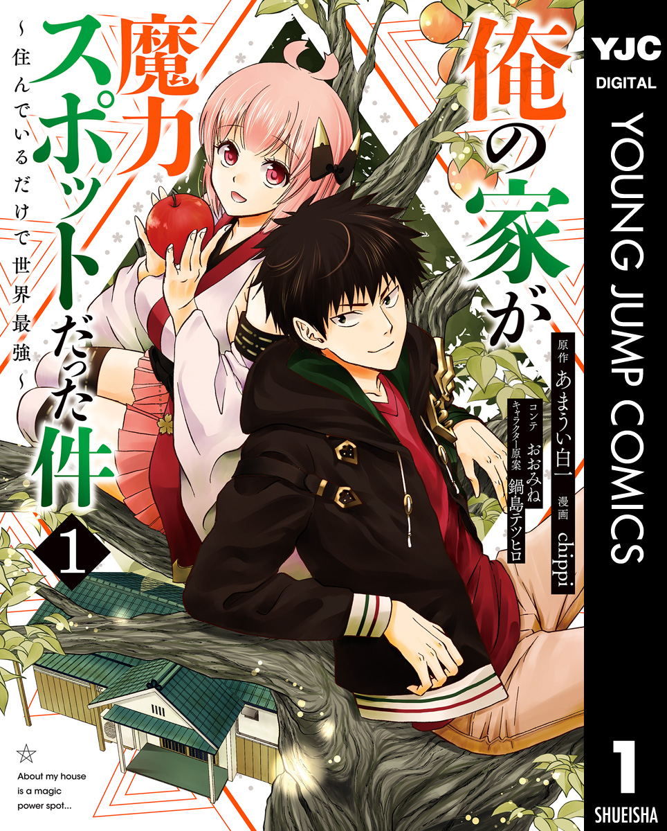 俺の家が魔力スポットだった件 住んでいるだけで世界最強 1 漫画 無料試し読みなら 電子書籍ストア ブックライブ