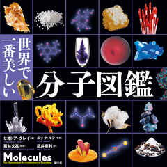 世界で一番美しい分子図鑑 - セオドア・グレイ/ニック・マン - 漫画 ...