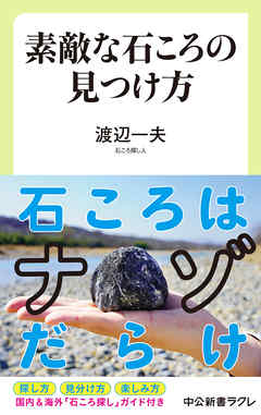 素敵な石ころの見つけ方