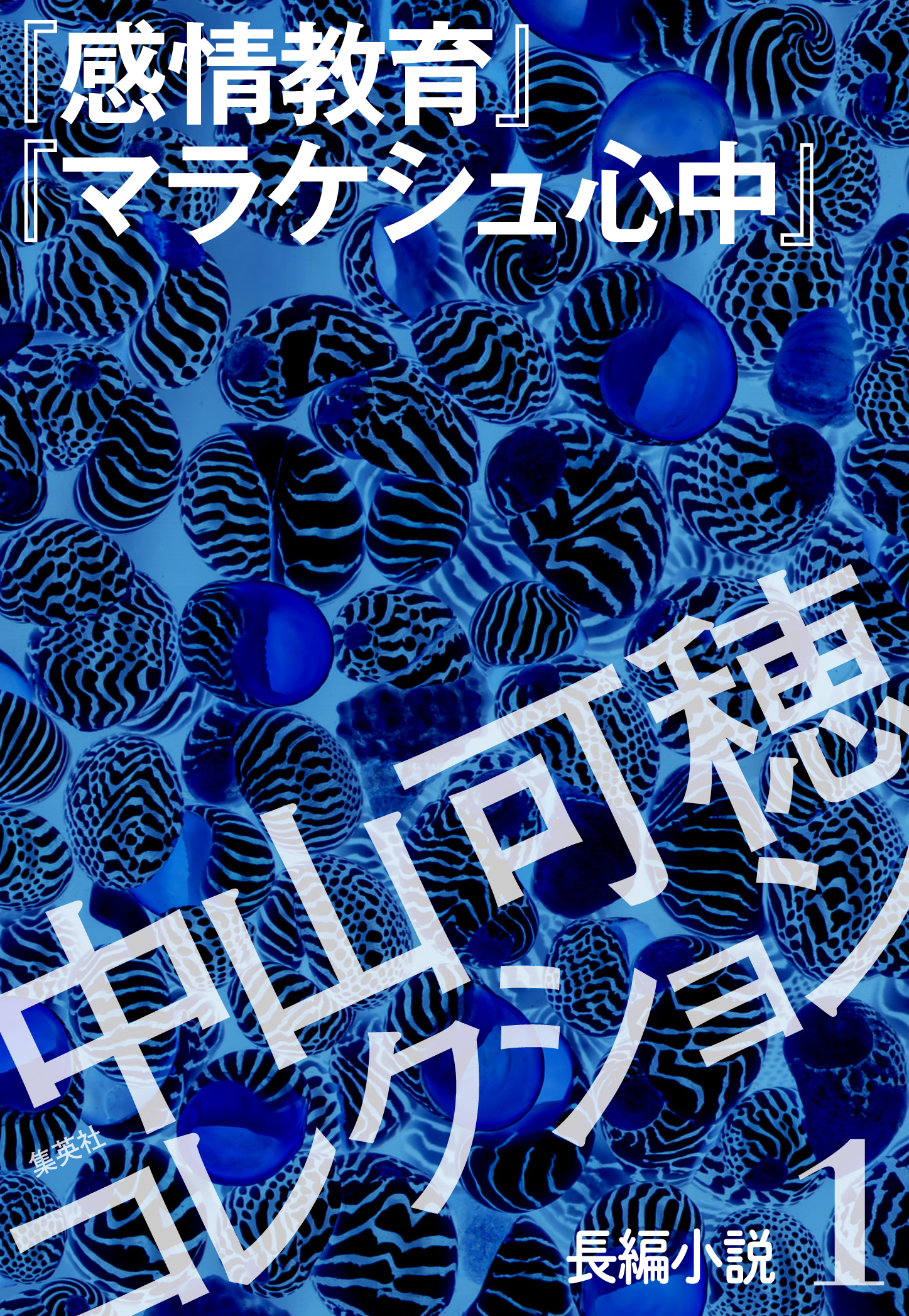 中山可穂コレクション １ 長編小説 感情教育 マラケシュ心中 漫画 無料試し読みなら 電子書籍ストア ブックライブ