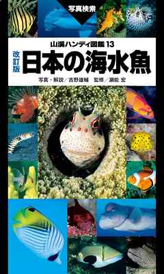 山溪ハンディ図鑑　改訂版　日本の海水魚