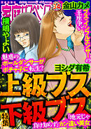 家庭サスペンスvol.34 特集：上級ブス 下級ブス