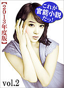 これが官能小説だっ！2013年度版vol.2