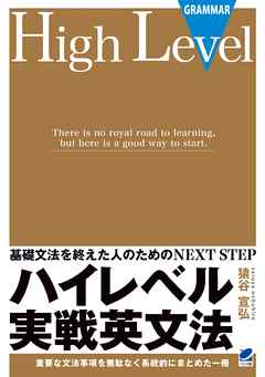 ハイレベル実戦英文法