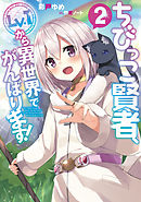 ちびっこ賢者、Lv.1から異世界でがんばります！２
