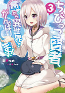 ちびっこ賢者、Lv.1から異世界でがんばります！３