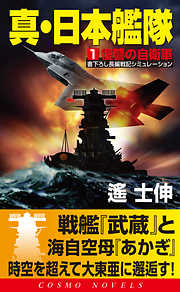真・日本艦隊