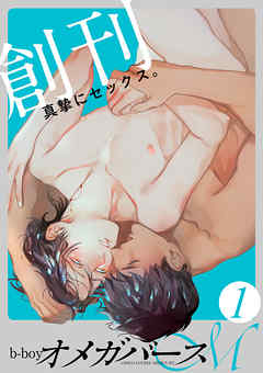 b-boy¥ª¥á¥¬¥Ð¡¼¥¹ Mercury vol.1