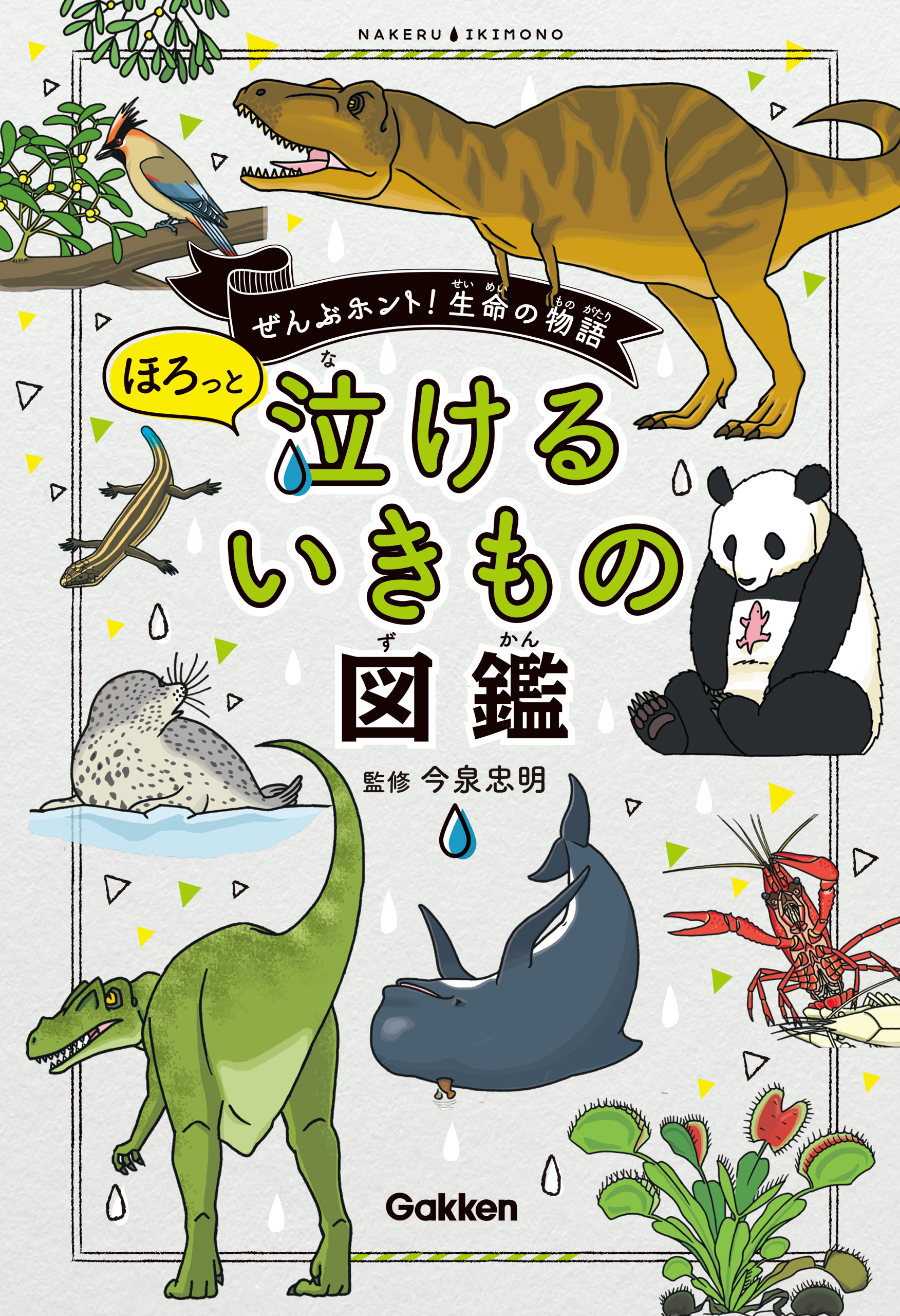 泣けるいきもの図鑑 他３冊 - その他