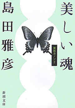 美しい魂―無限カノン２―（新潮文庫）