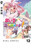 【分冊版】あいるエンカウント！ 12