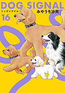 DOG　SIGNAL 16