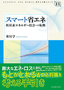 スマート省エネ―低炭素エネルギー社会への転換 (科学と人間シリーズ 13)