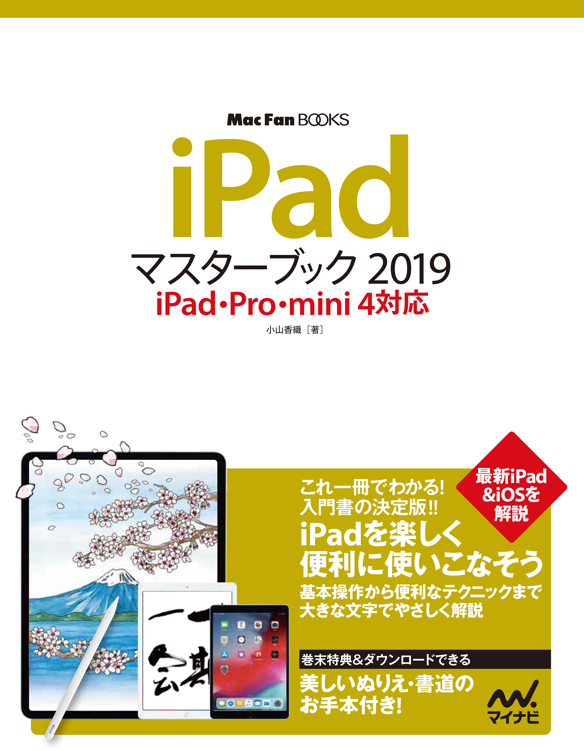 iPadマスターブック2019 iPad・Pro・mini 4対応 | ブックライブ