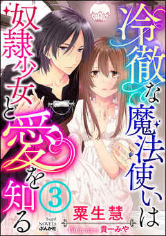 冷徹な魔法使いは奴隷少女と愛を知る【イラスト入り】 【第3話】