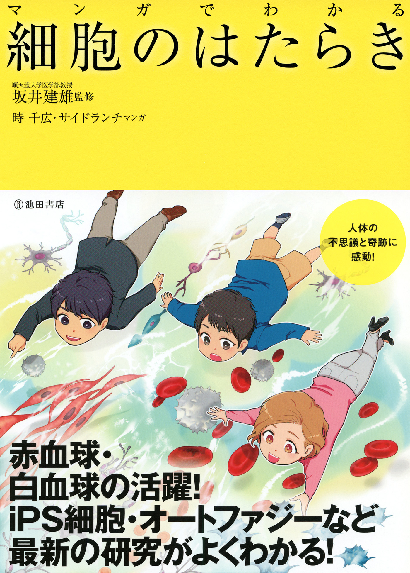 マンガでわかる 細胞のはたらき 池田書店 坂井建雄 時千広 サイドランチ 漫画 無料試し読みなら 電子書籍ストア ブックライブ