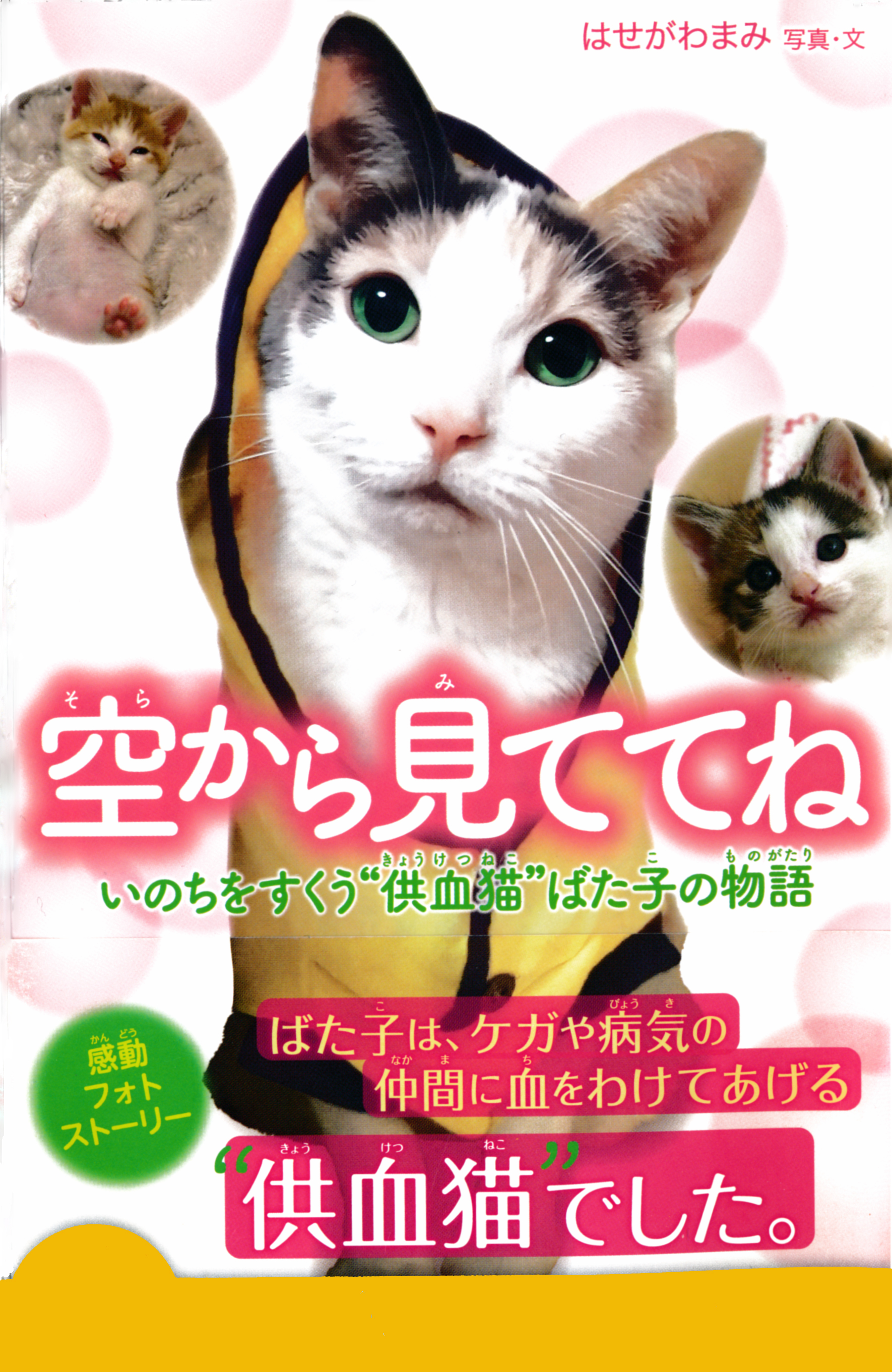 空から見ててね いのちをすくう 供血猫 ばた子の物語 はせがわまみ 漫画 無料試し読みなら 電子書籍ストア ブックライブ