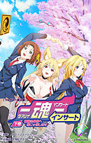 魂インサート 下巻 神様の身体へおじゃまします【フルカラー成人版】