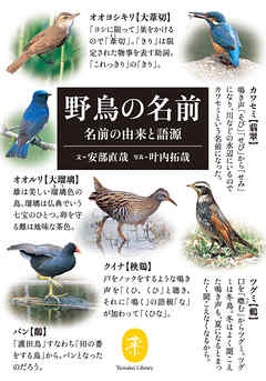 ヤマケイ文庫 野鳥の名前 名前の由来と語源 - 安部直哉/叶内拓哉