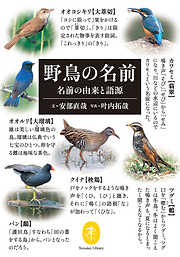 ヤマケイ文庫　野鳥の名前 名前の由来と語源